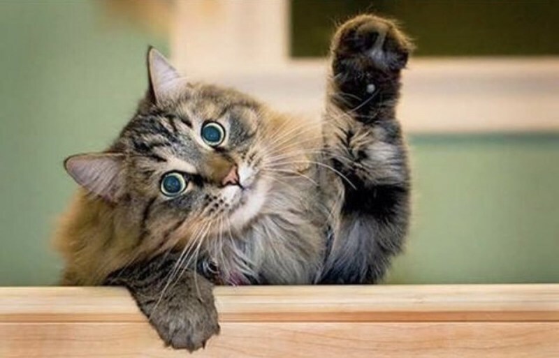 Всем девушкам нужно удачно выйти замуж, иначе счастья не видать?