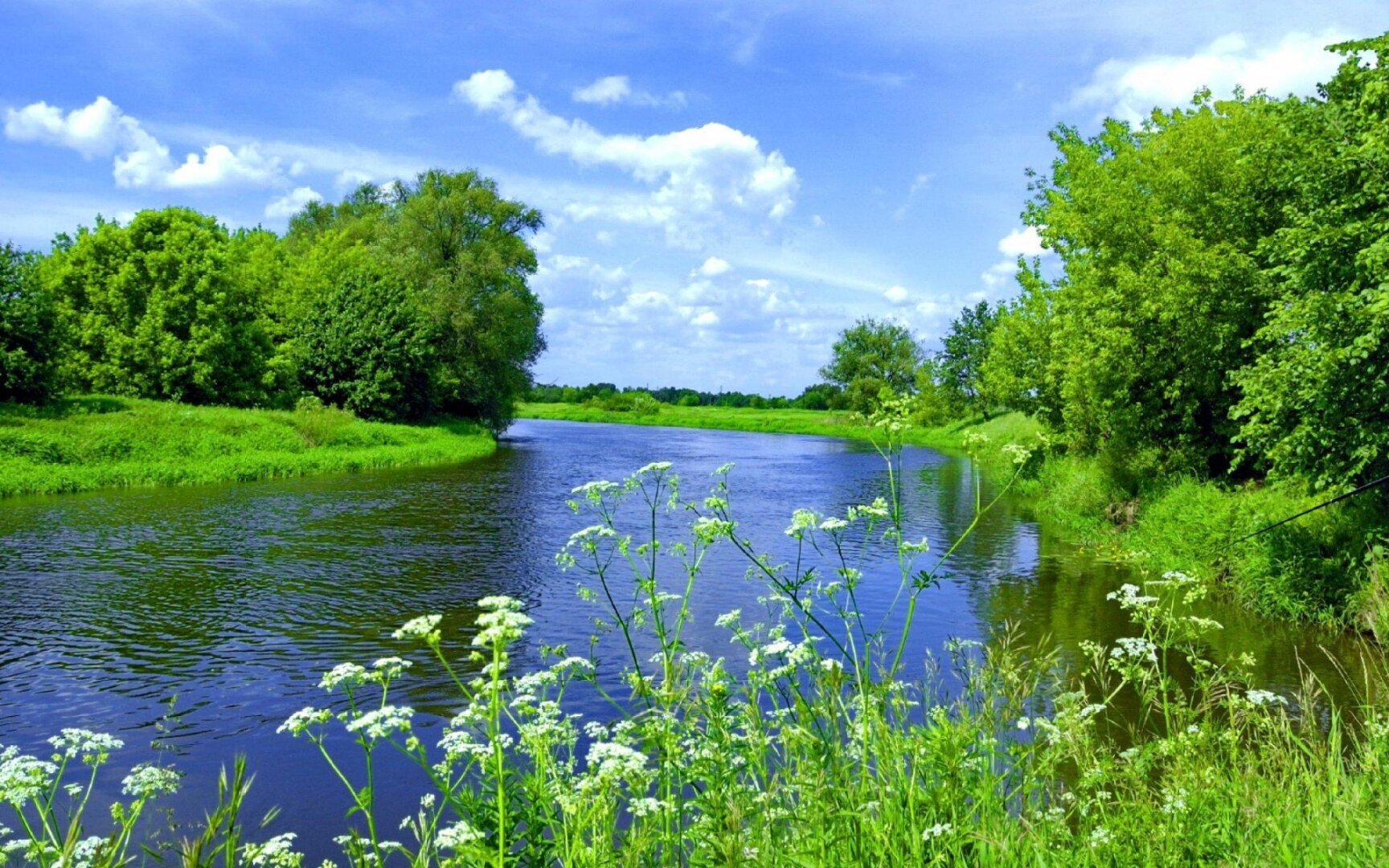 Сказка о Чудесной стране.