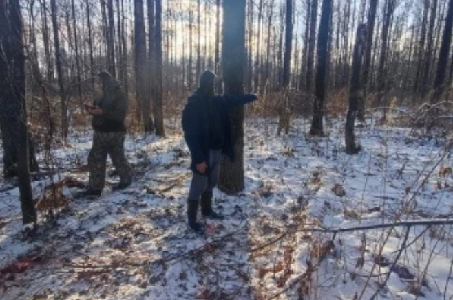 Охота на косуль с разрешением, но что-то пошло не так... Охотники вернулись без трофеев, но не все... Один из них настрелял на ч. 1 ст. 109 УК РФ