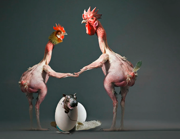 Сказка о Чудесной стране.