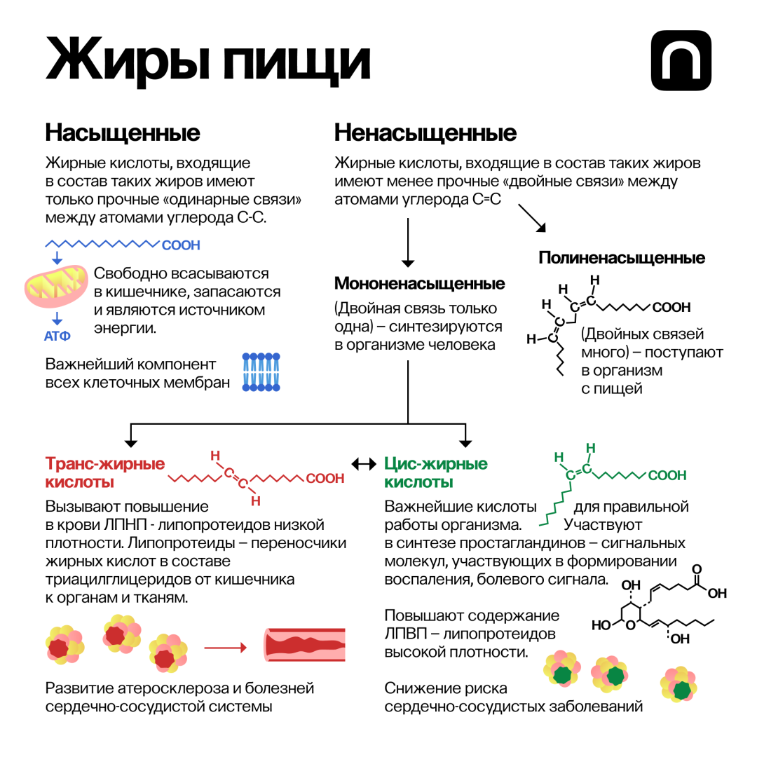 Функции жиров белков и углеводов в организме. Зачем нужны белки жиры и углеводы. Калорический коэффициент белков. Насыщенные жиры. Белки жиры углеводы ЕГЭ химия теория.