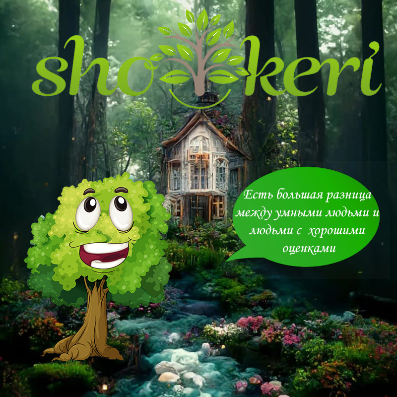 Как можно использовать систему накопления «Из расходов – в доходы»