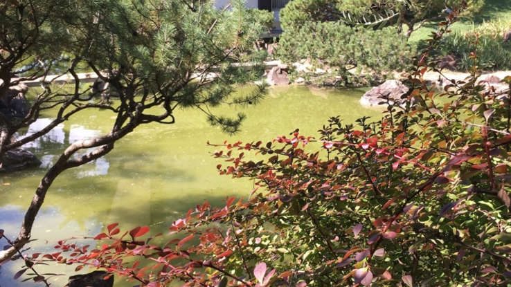 Самые красивые японские сады в мире.