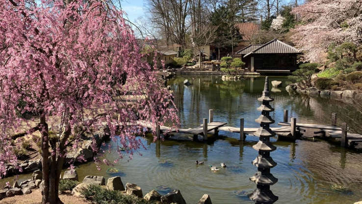 Самые красивые японские сады в мире.