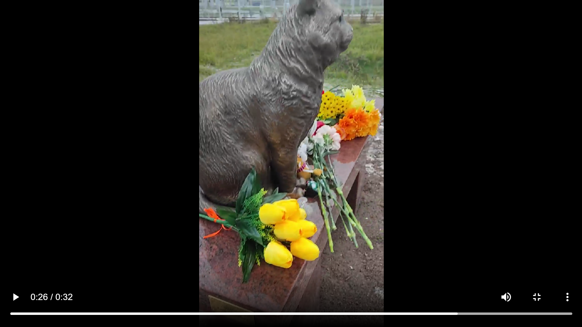 Похожий на какашку памятник кошке водрузили в Петербурге