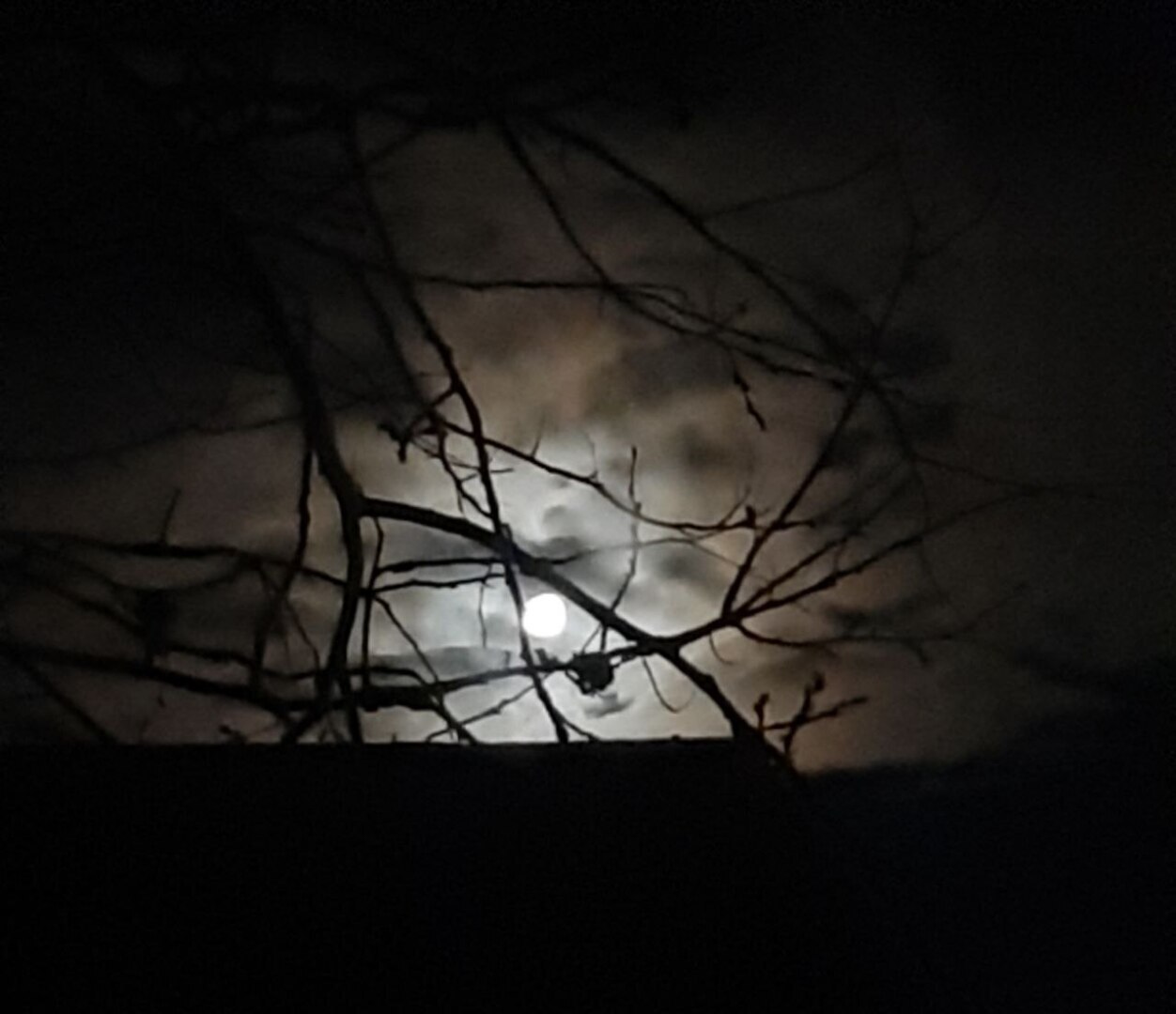 Диалог с Луной