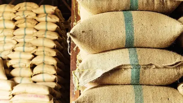 Кто лишний на Планете Земля.