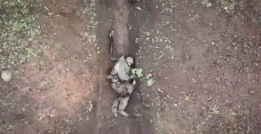 В солдата кидали гранаты с беспилотника, две отбросил, вторая сработала в стороне. Судьба заступилась за бойца?