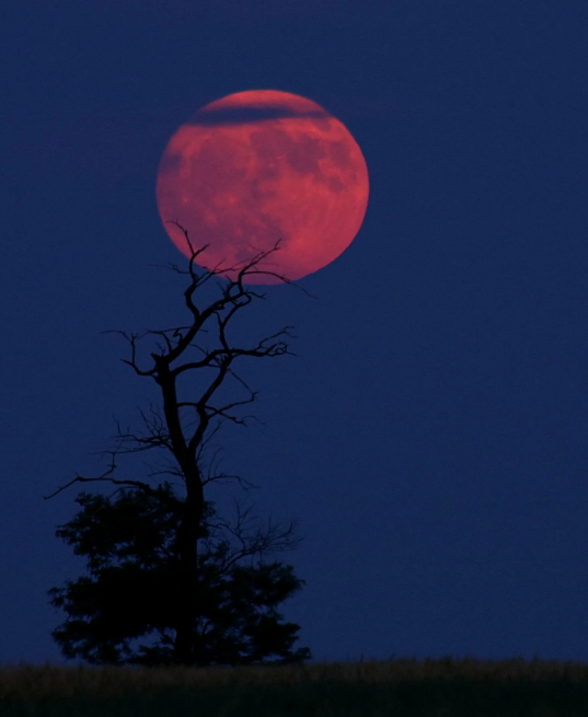 Полнолуние. Что такое "Кровавая Луна" и ещё 5 фактов о её затмениях