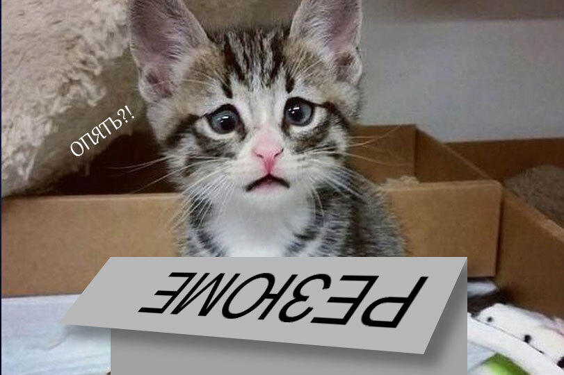 Два инструмента успешного поиска работы.