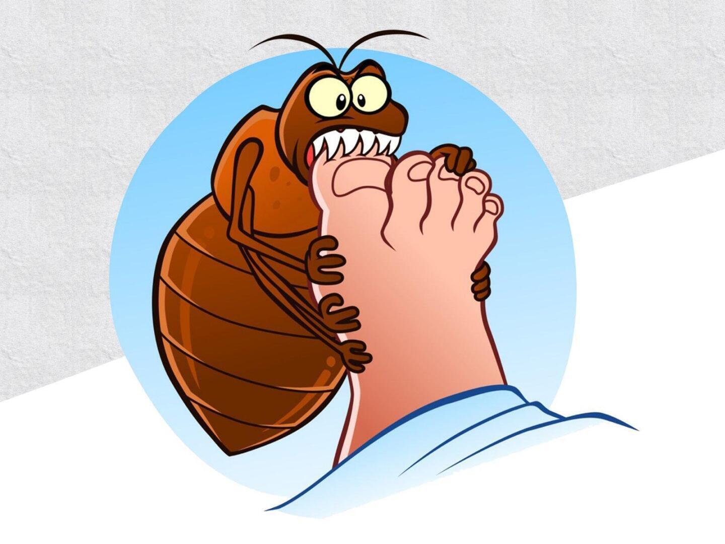 Мебель, которую ни в коем случае нельзя покупать