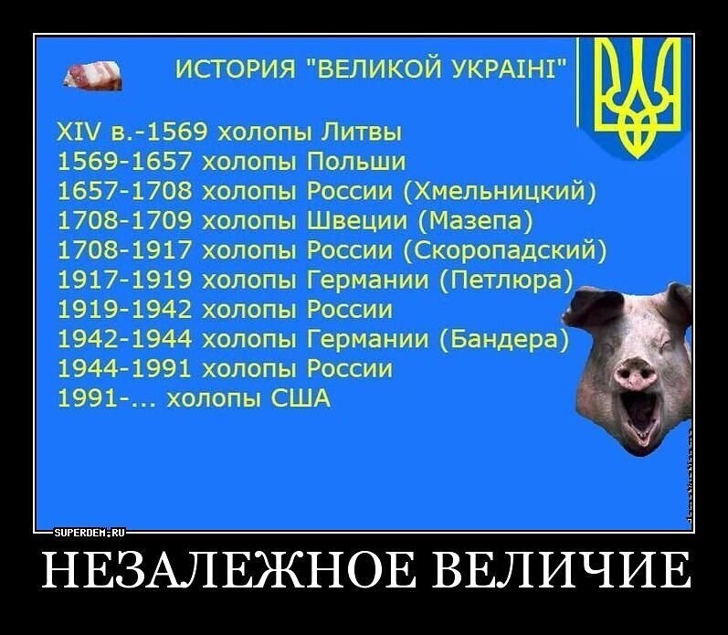 Незалежный перевод с украинского. Хохлы холопы. Украинцы холопы. Хохлы продажные. Краткая история Украины.