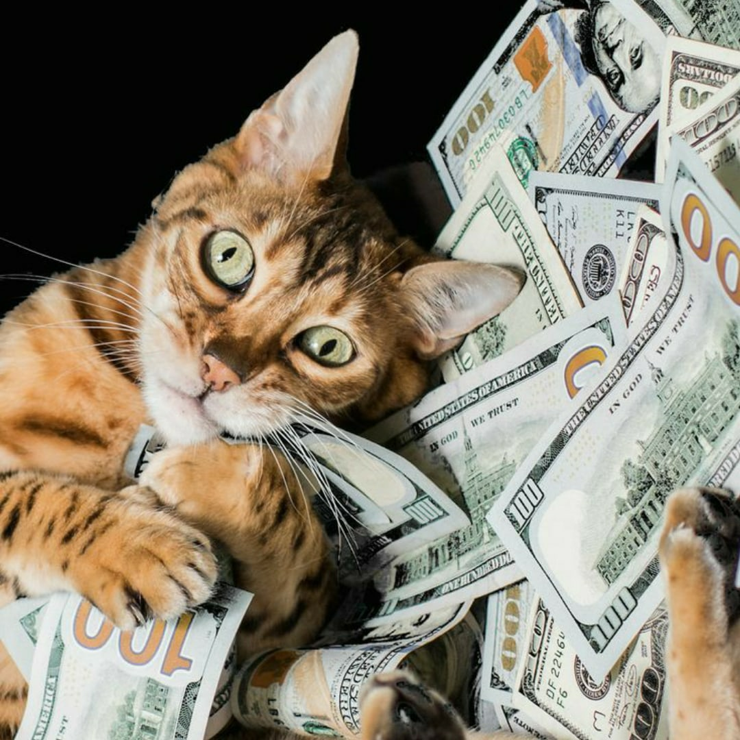 Россияне меняют локацию валютных вкладов и предпочитают валюте другие активы. К чему бы это?