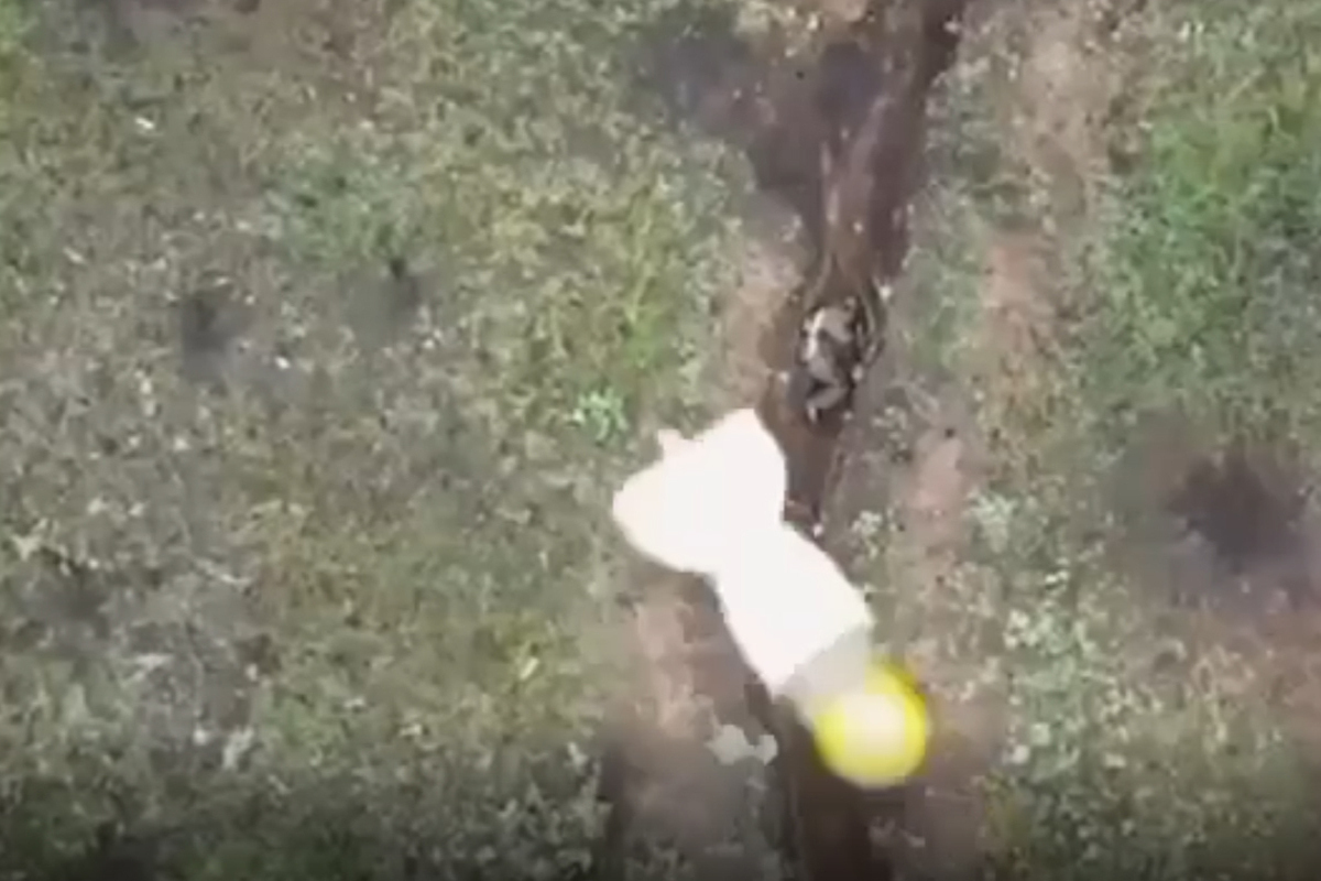 Русский воин Алексей (бой с дроном).