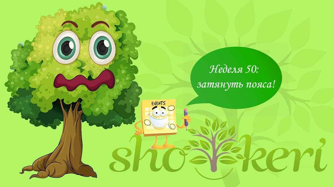 Как выглядит известная система накопления «52 недели богатства»