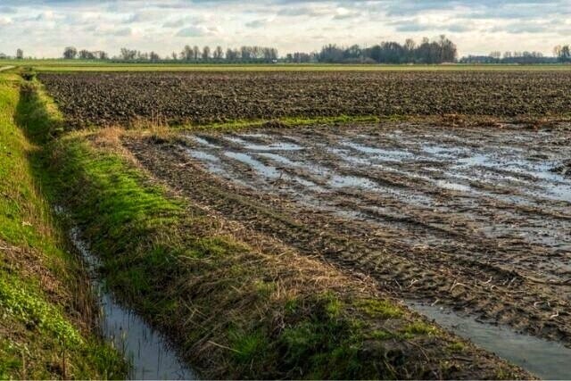 ОСВОЕНИЕ ЗАБОЛОЧЕННЫХ И БОЛОТНЫХ ПОЧВ.