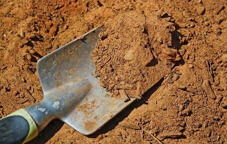 ОСВОЕНИЕ ПЕСЧАНОЙ ПОЧВЫ.