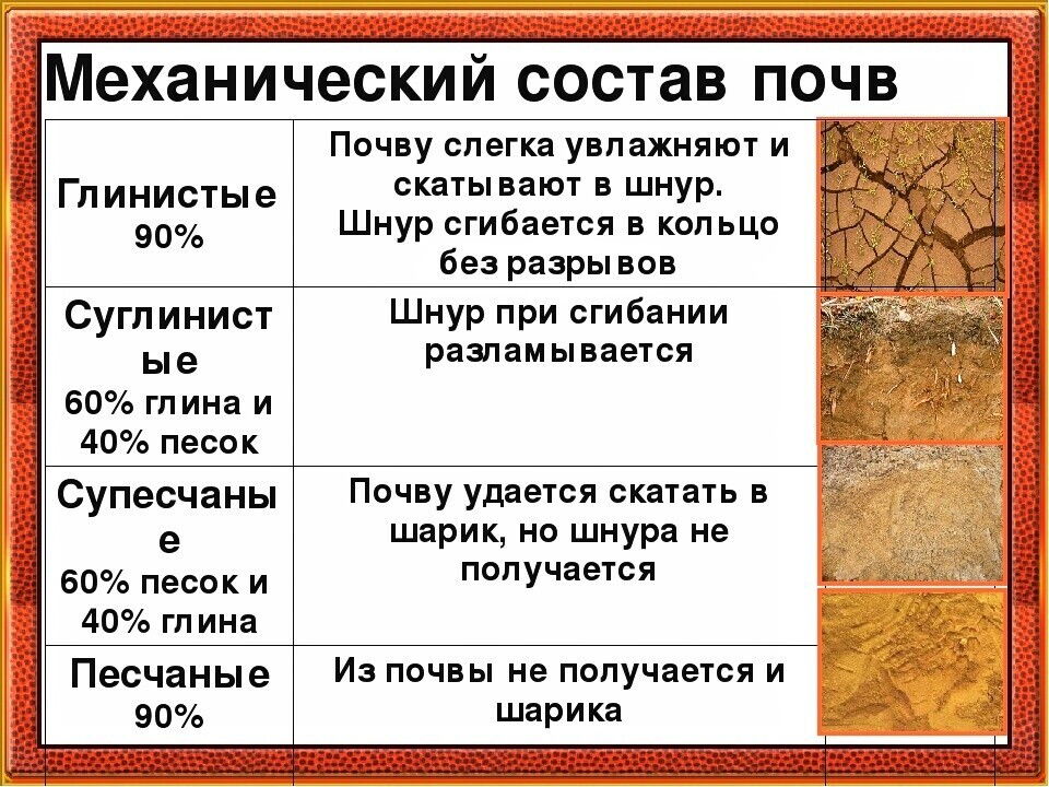 Определение механического состава почвы презентация