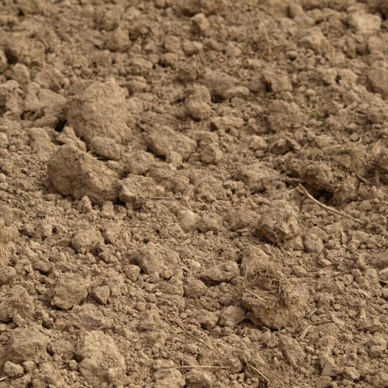 КАКИЕ БЫВАЮТ ПОЧВЫ И КАК ИХ УДОБРЯТЬ.