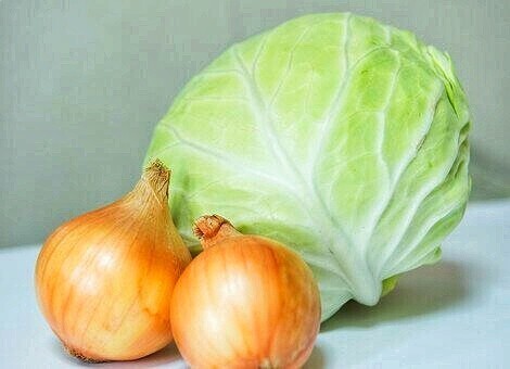 Влияние света на рост и развитие растений.