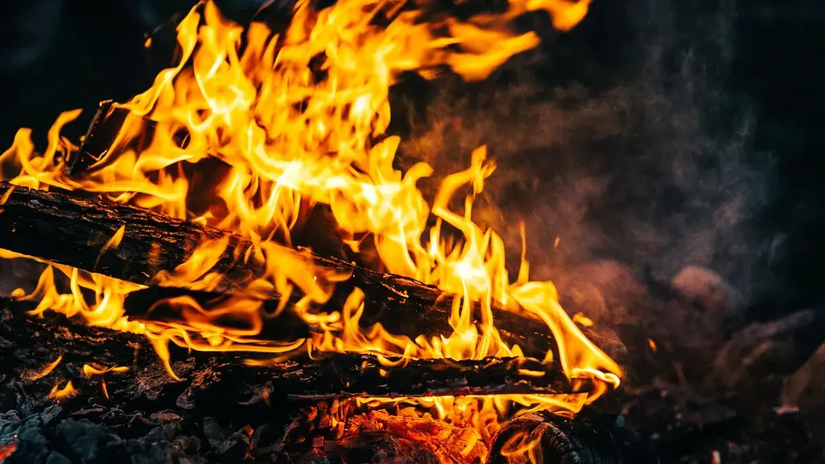 Новые правила разведения костров на дачах утвердили в России – на сколько штрафуют россиян