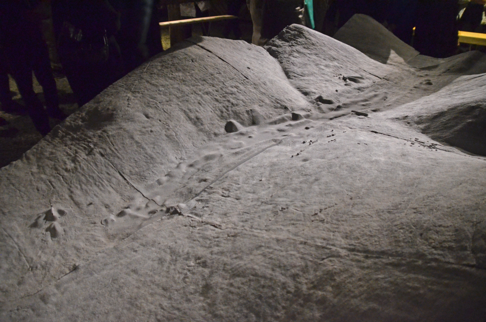 Лагерь "Днепровский"