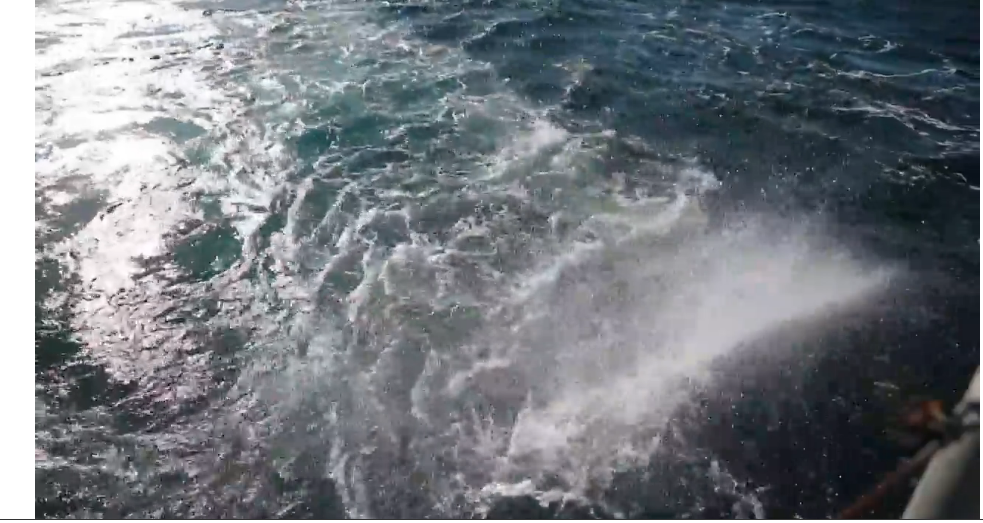 Кто выиграет гонку за выработку электроэнергии из океанских приливов?