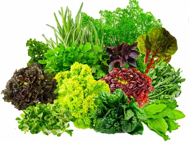 Как правильно определить какую площадь нужно отвести под овощи.