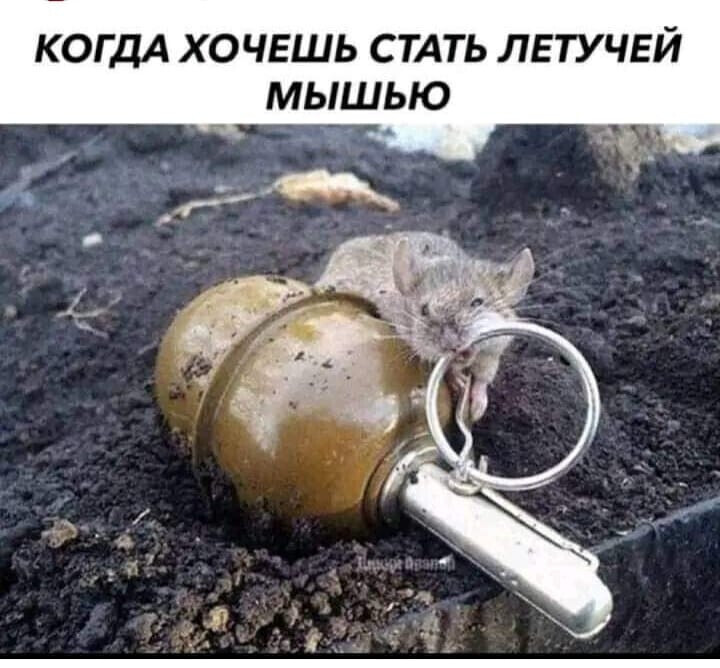 Сентябрь 2022 года СВО