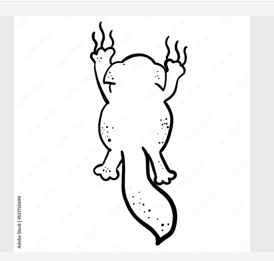 Отчет по микростокам. Октябрь 2022 год. Design Bundels тоже отвалилась