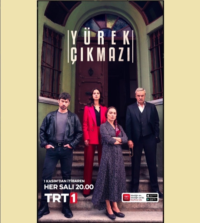 Зимородок турецкий сериал актеры и роли фото