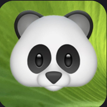 Panda, г. Калининград