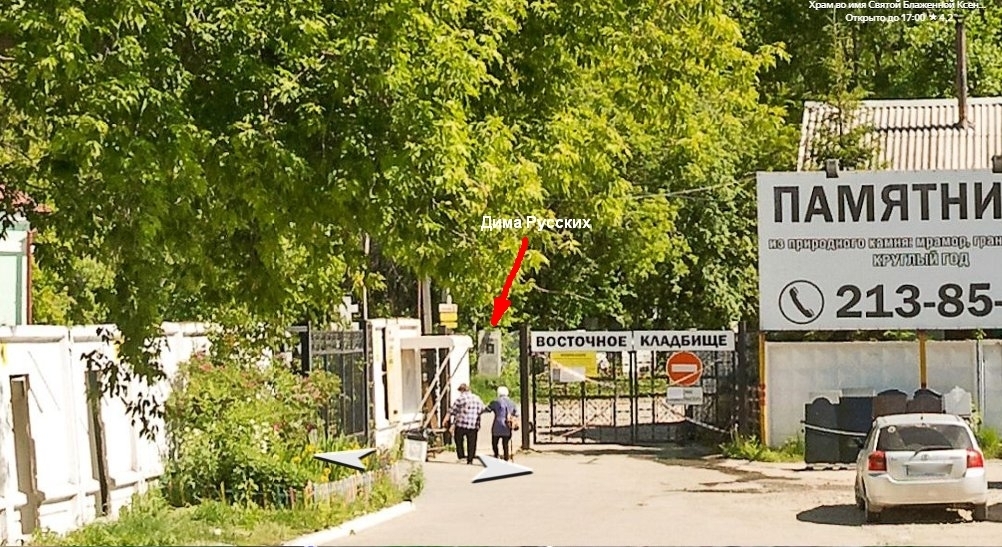 "Новости" трансплантологии.