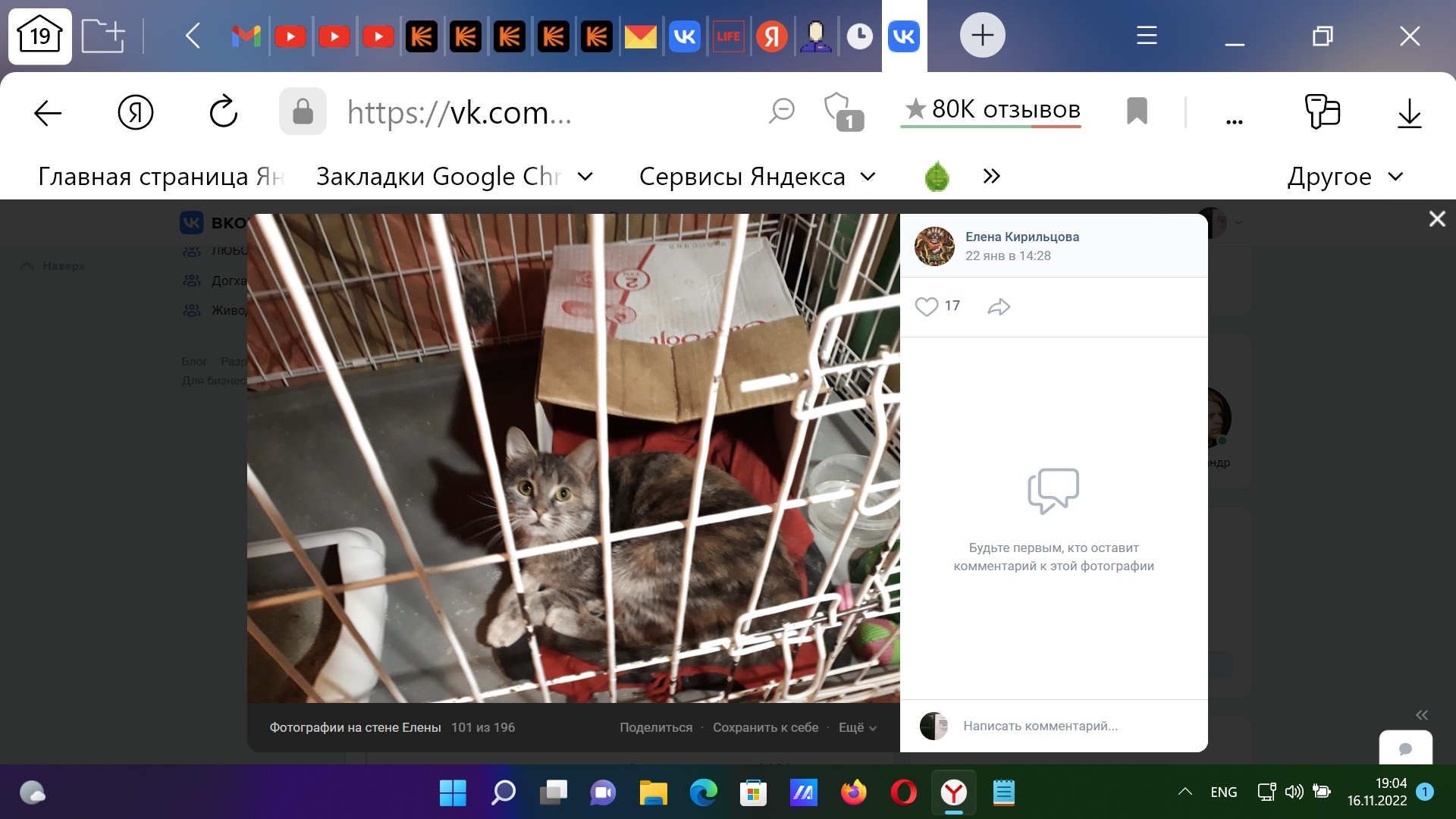 Котофилы против филантропов
