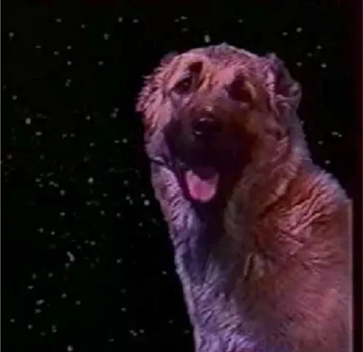 Предтечи Русской весны: два Стерлигова — история политики и история экономики