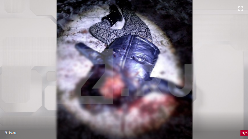 Мертвую женщину с обезображенным лицом нашли у дороги в Петербурге — фото (18+)