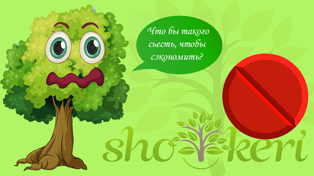 Как выглядит красная таблетка от бедности