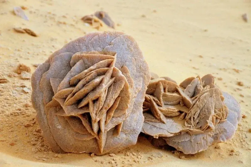 Алжир. Что всем нужно в этой безводной пустыне?