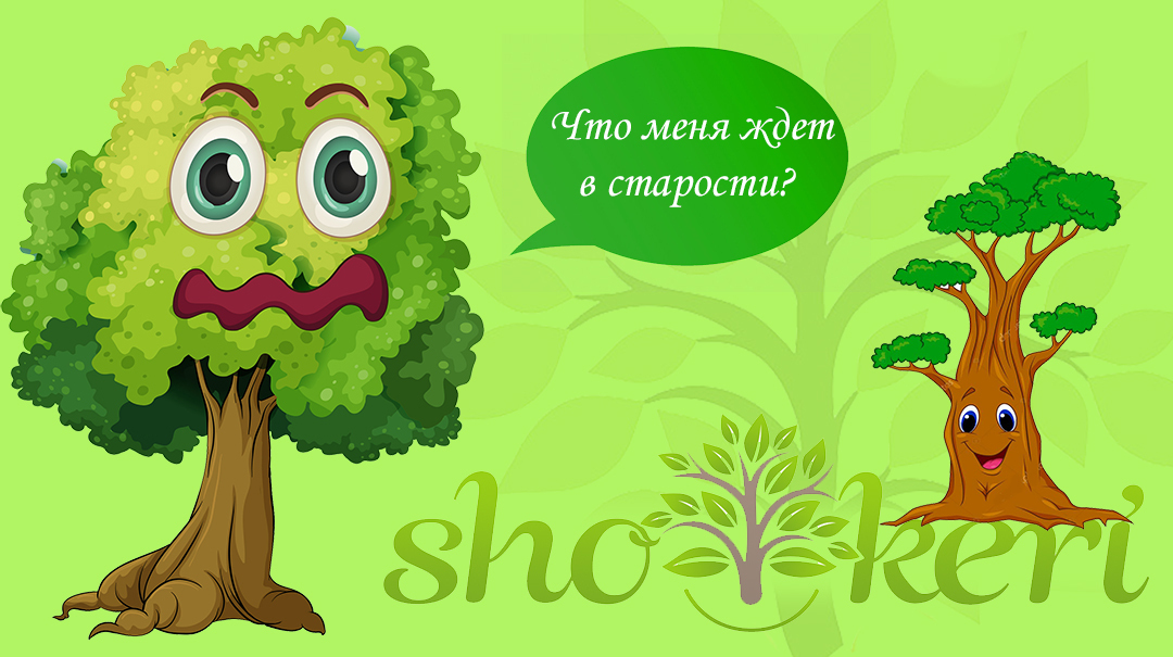 Как не допустить бедной старости в среднем возрасте