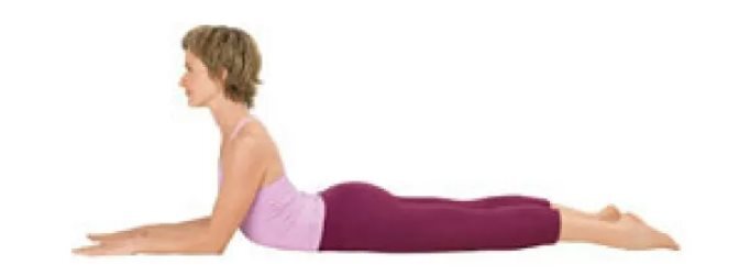 В чем разница между утренней и вечерней йогой? Рекомендуемые позы и единая точка для улучшения результатов