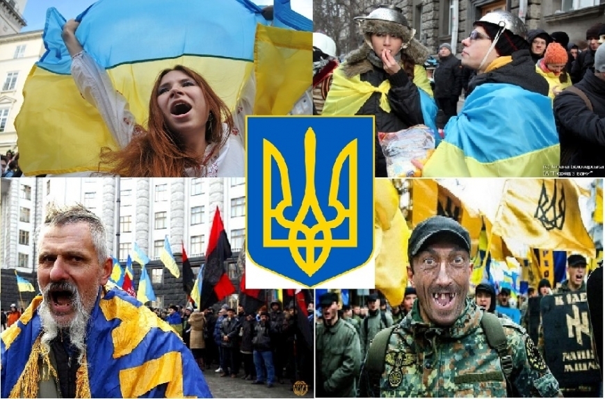 Западное обучение украинцев.