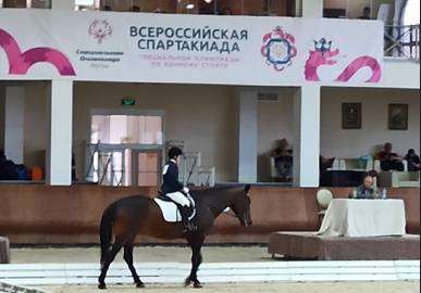 Наши гнедые на соревнованиях для людей с ограниченными возможностями
