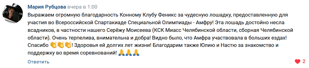 Наши гнедые на соревнованиях для людей с ограниченными возможностями