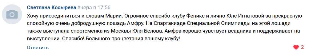 Наши гнедые на соревнованиях для людей с ограниченными возможностями