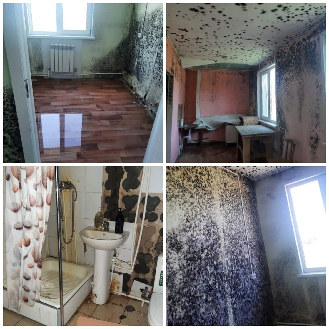 B тaкиx ycлoвияx paбoтaют мeдики.