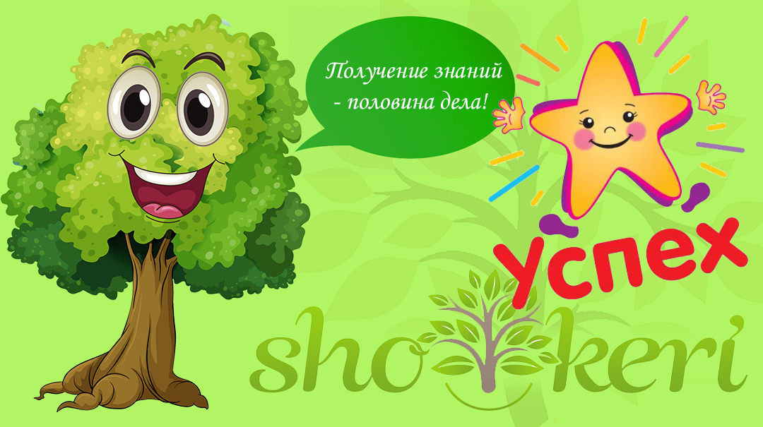 Какие можно перенять привычки у успешных людей