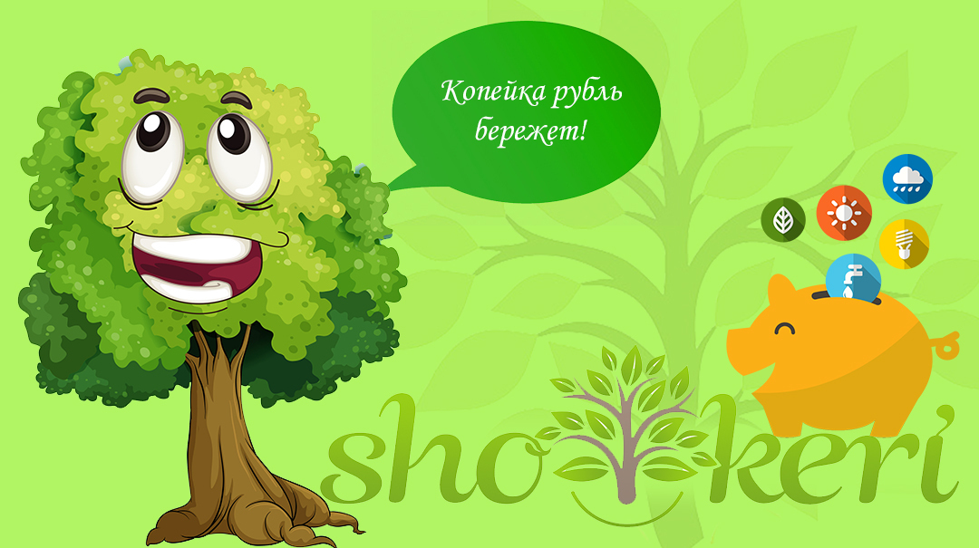 Какие мы используем правила, чтобы избежать импульсной покупки