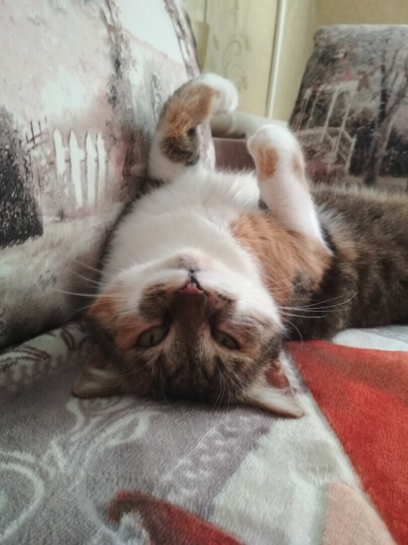 Когда надоел негатив со всех экранов и интернет сайтов. Немного о песке, в который уютно прятать голову