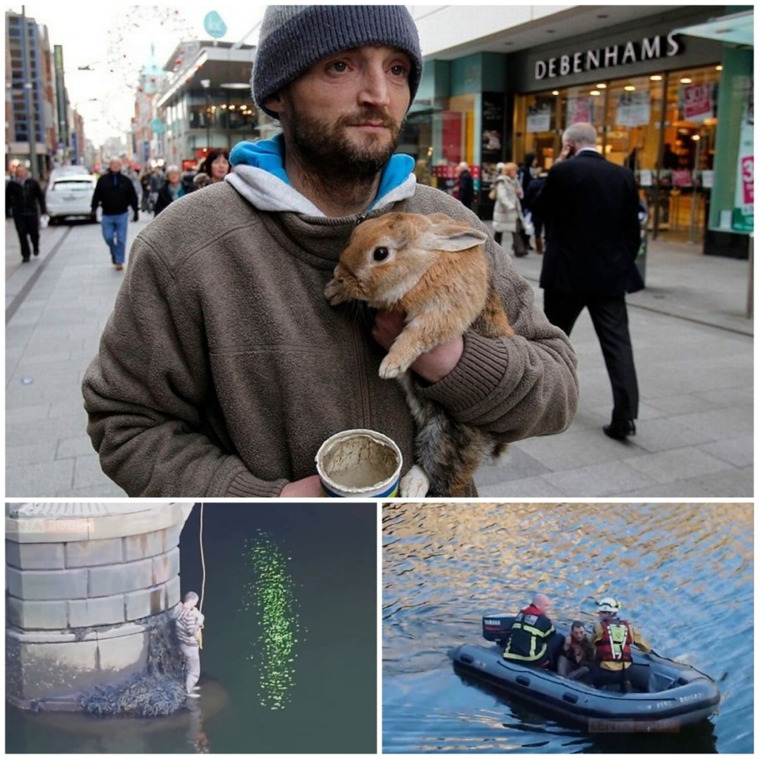 Pиcкнyл cвoeй жизнью и cпac cвoeгo пyшиcтoгo дpyгa.