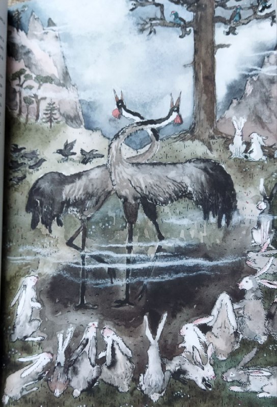 О сказке, спрятанной в конкурсе